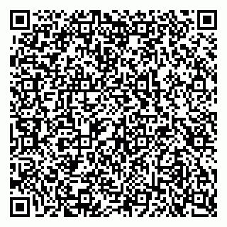 vCard 79103400333