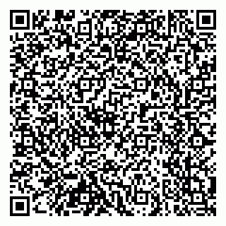 vCard 79103400335