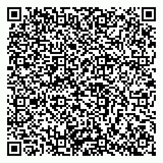 vCard 79103400339