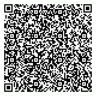 vCard 79103400351