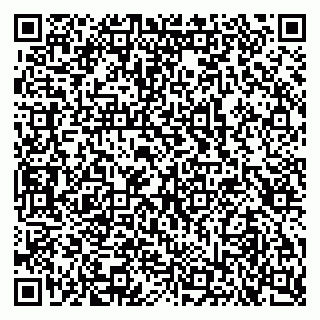 vCard 79103400361