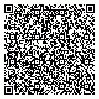 vCard 79103400378