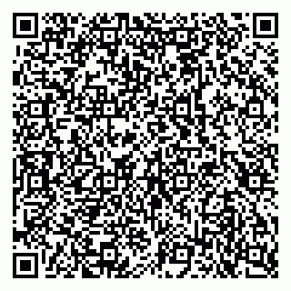 vCard 79103400379