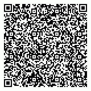 vCard 79103400381
