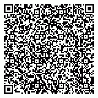 vCard 79103400384