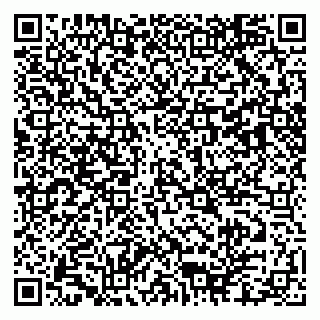 vCard 79103400385