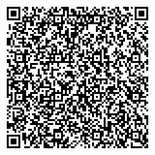 vCard 79103400386