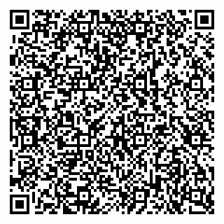 vCard 79103400388