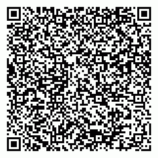 vCard 79103400391