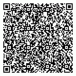 vCard 79103400393
