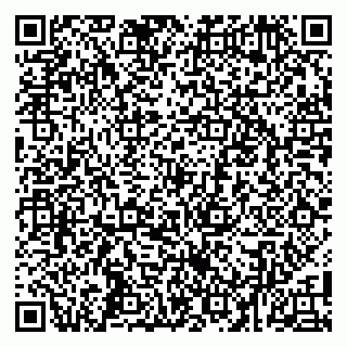 vCard 79104000539