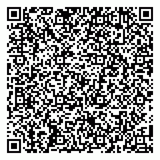 vCard 79104001381