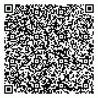 vCard 79104002700