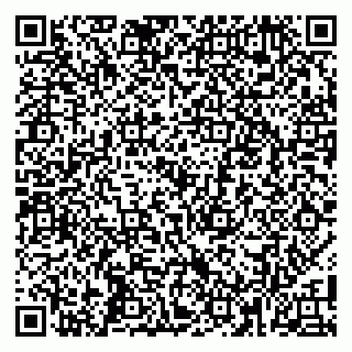 vCard 79104002839