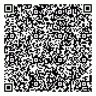 vCard 79104011039
