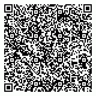vCard 79104013539
