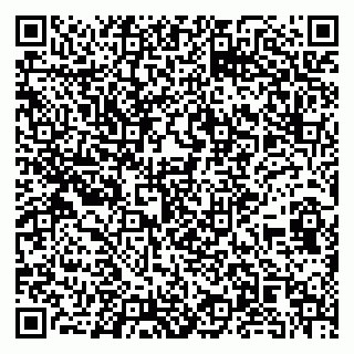 vCard 79104013739