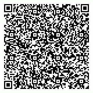 vCard 79104013839