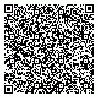 vCard 79104016339