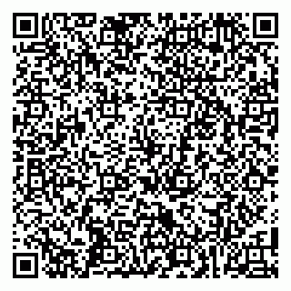 vCard 79104016739