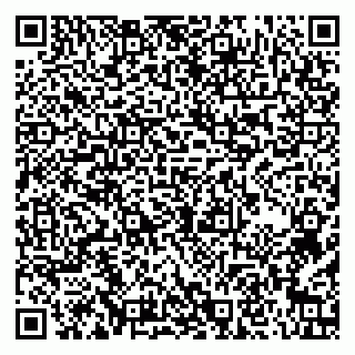 vCard 79104017331