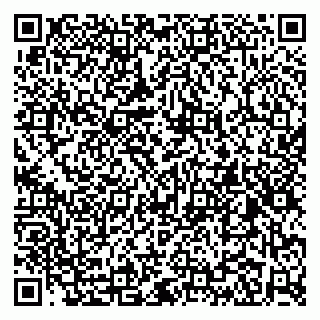 vCard 79104019539