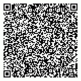 vCard 79104021039
