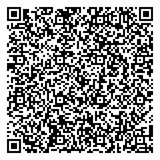 vCard 79104029005