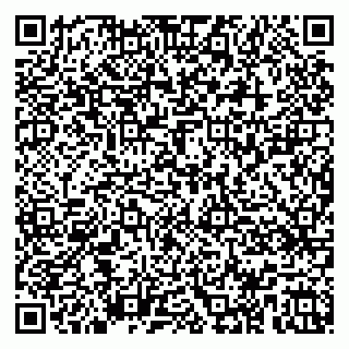 vCard 79104029739