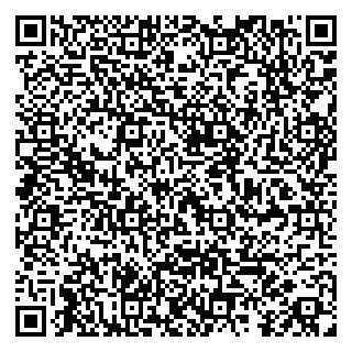 vCard 79104031335