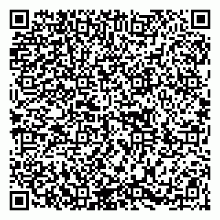 vCard 79104032001