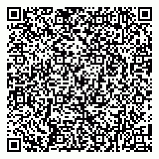 vCard 79104033335