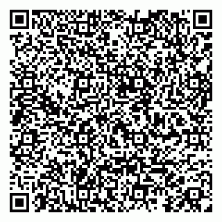 vCard 79104033403