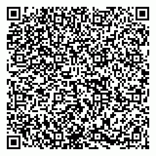 vCard 79104033713