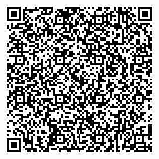 vCard 79104035331