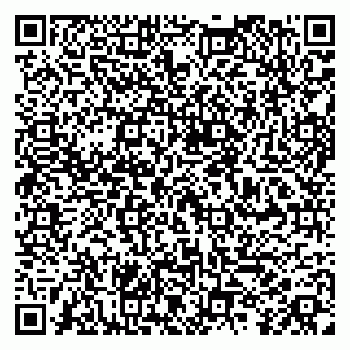 vCard 79104036033