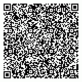 vCard 79104036729