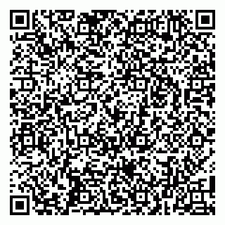 vCard 79104039005