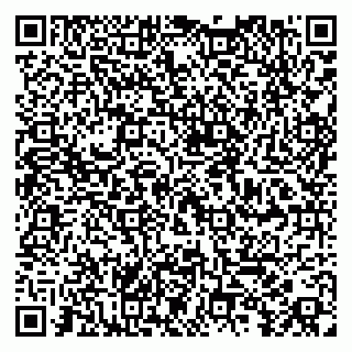 vCard 79104039167