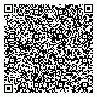 vCard 79104039331