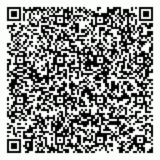 vCard 79104039335