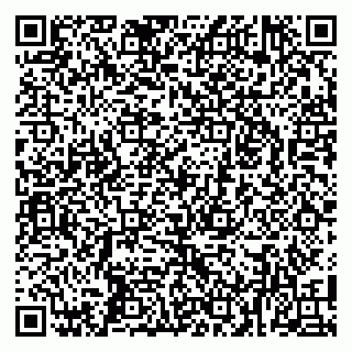vCard 79104039733