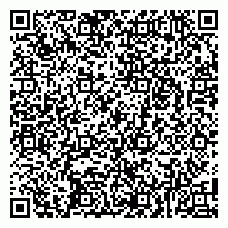 vCard 79104039735