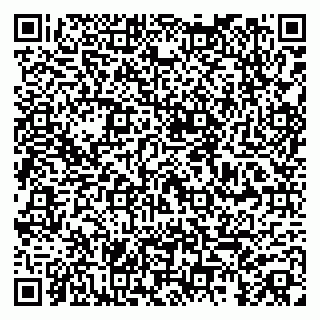vCard 79104039740