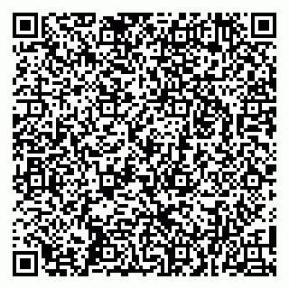 vCard 79104039741