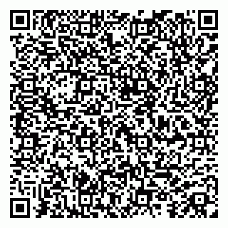 vCard 79104039780