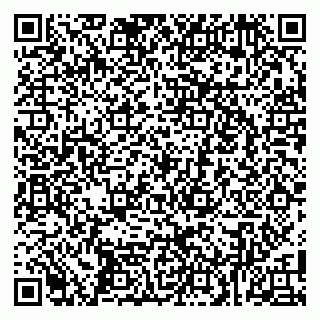 vCard 79104040239