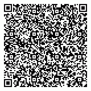 vCard 79104040313