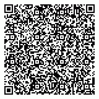 vCard 79104040733