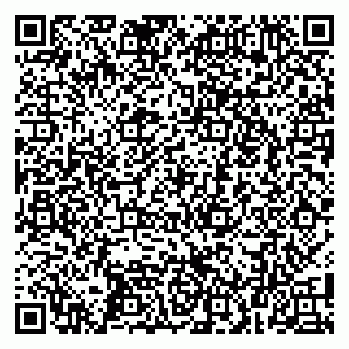 vCard 79104042005
